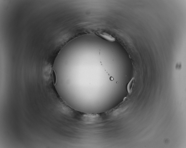 X0000103150480200808221335