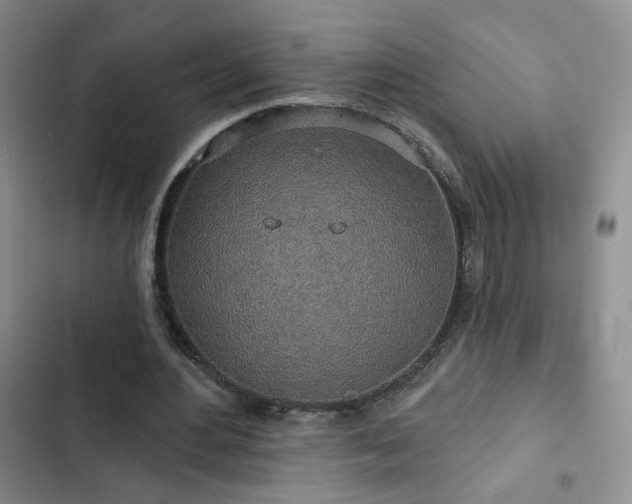 X0000103150484200808221334