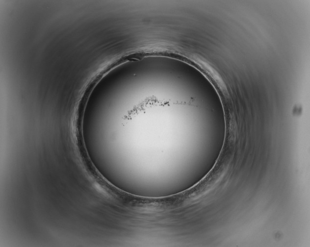 X0000103150485200808221334