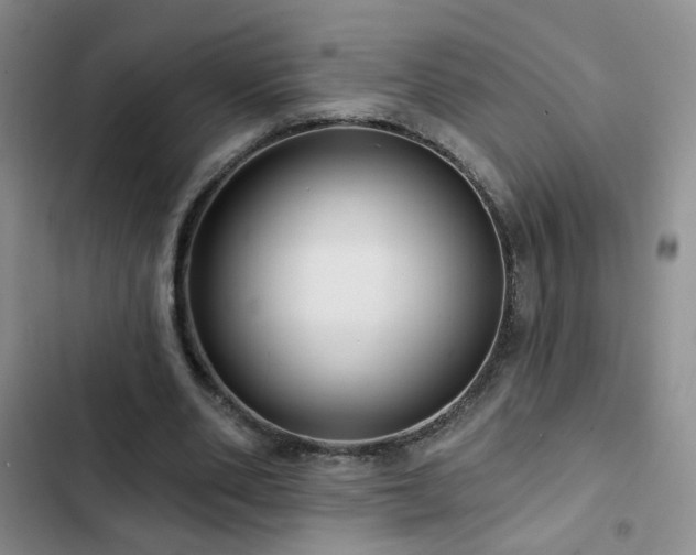 X0000103150486200808221334