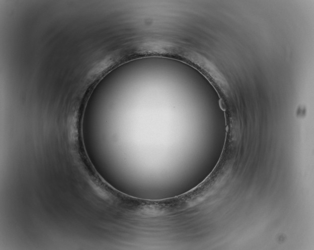 X0000103150489200808221334