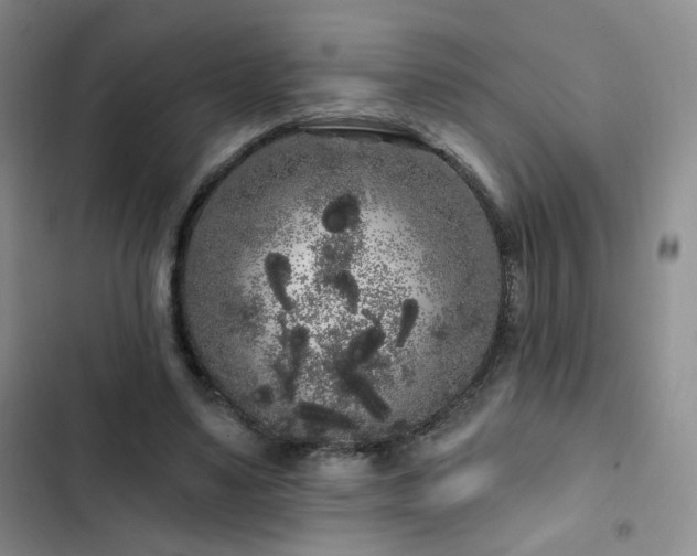 X0000103150491200808221334