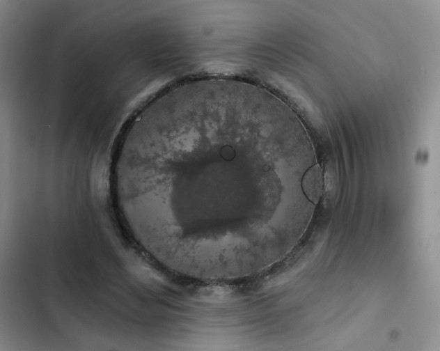 X0000103150492200808221334