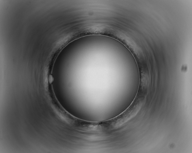 X0000103150493200808221334