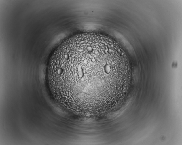 X0000103150495200808221334