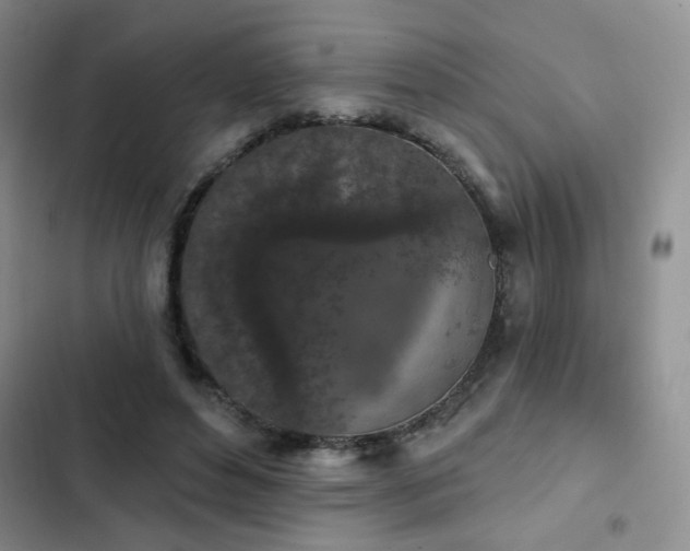 X0000103150496200808221334