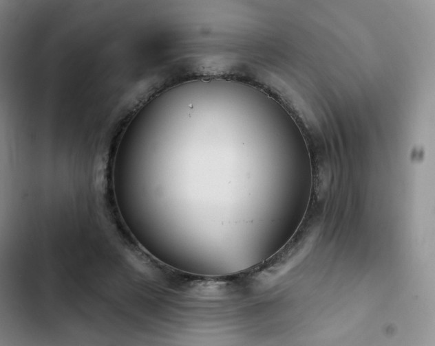 X0000103150497200808221334