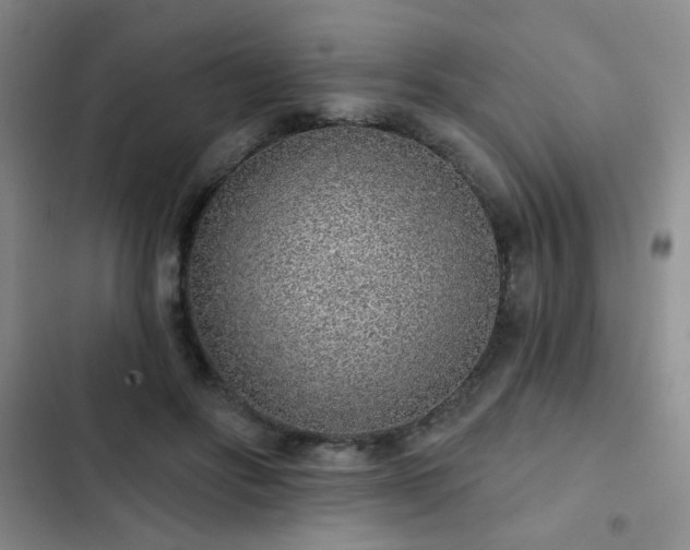 X0000103150502200808221334