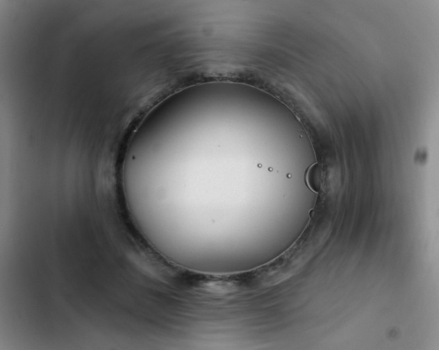 X0000103150508200808221334