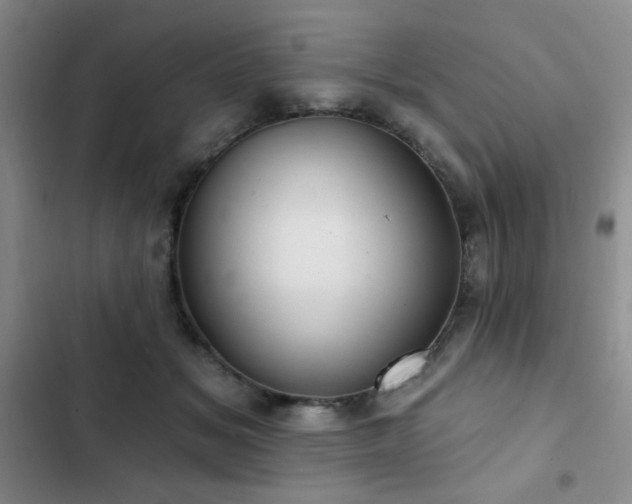 X0000103150509200808221334