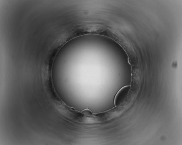 X0000103150510200808221334