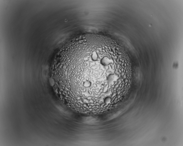 X0000103150511200808221334