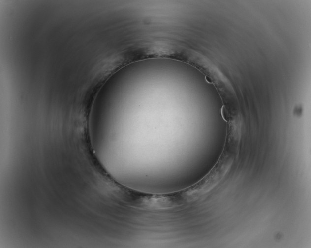 X0000103150517200808221334