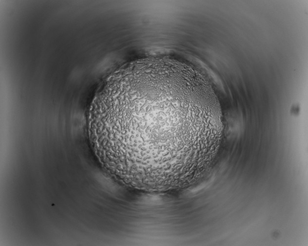 X0000103150523200808221334