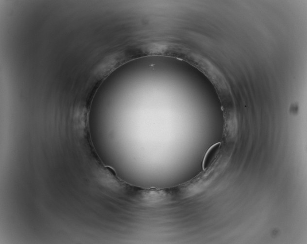 X0000103150525200808221334