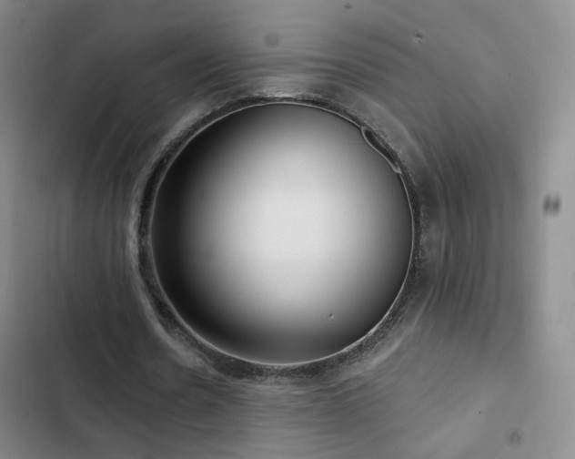 X0000103150530200808221333