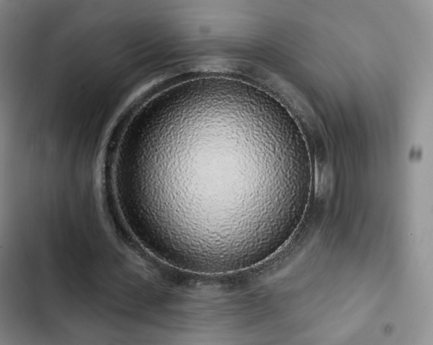 X0000103150531200808221333