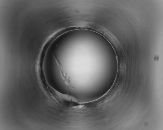 X0000103150532200808221333