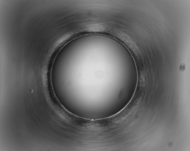 X0000103150535200808221333