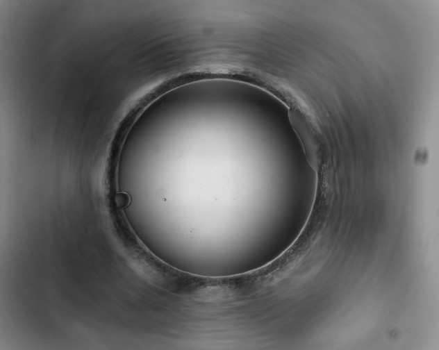 X0000103150536200808221333