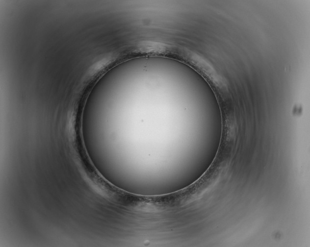 X0000103150538200808221333