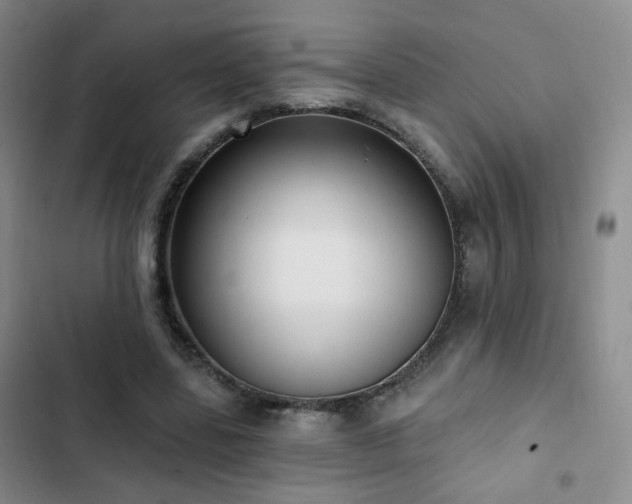 X0000103150539200808221333