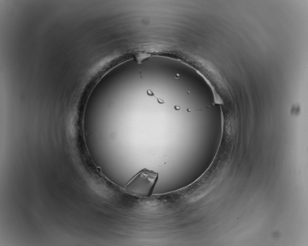 X0000103150540200808221333