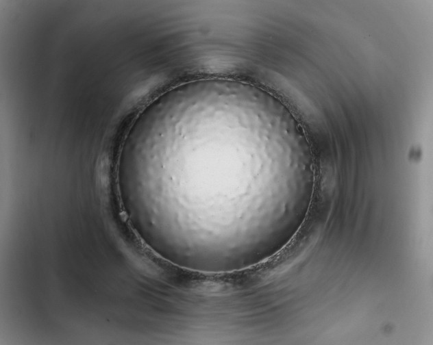 X0000103150542200808221333