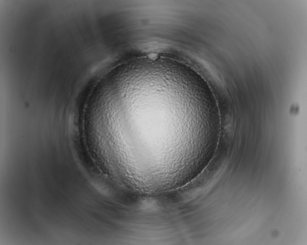 X0000103150547200808221333