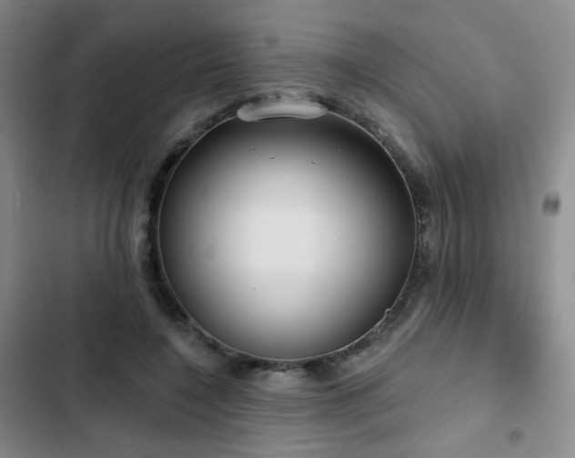 X0000103150548200808221333