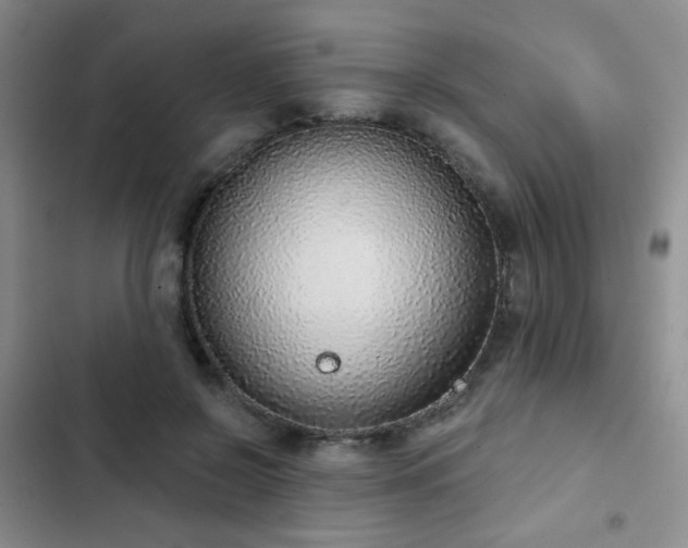 X0000103150550200808221333