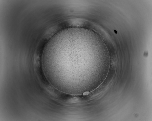 X0000103150551200808221333