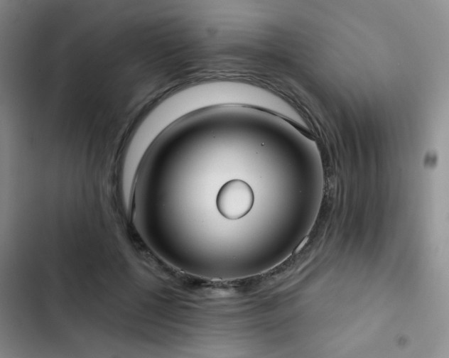 X0000103150552200808221333