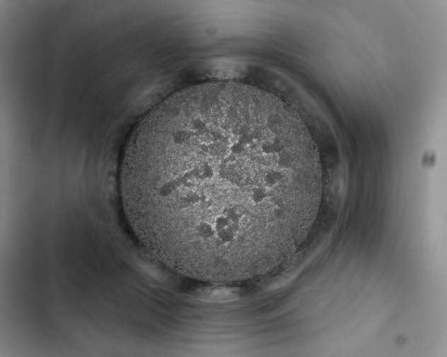 X0000103150553200808221333