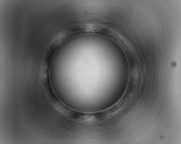 X0000103150554200808221334