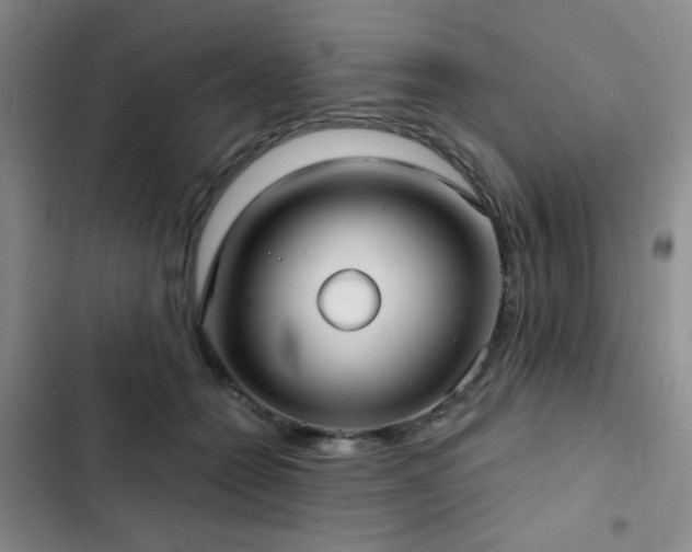 X0000103150558200808221334