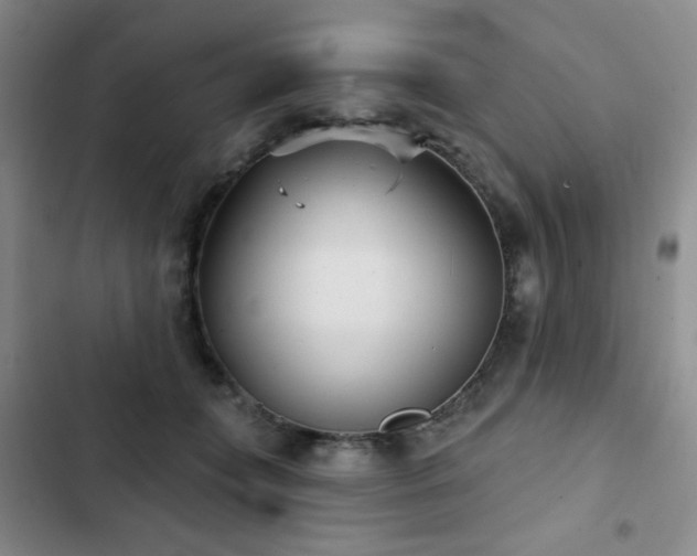 X0000103150559200808221334