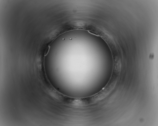 X0000103150562200808221334