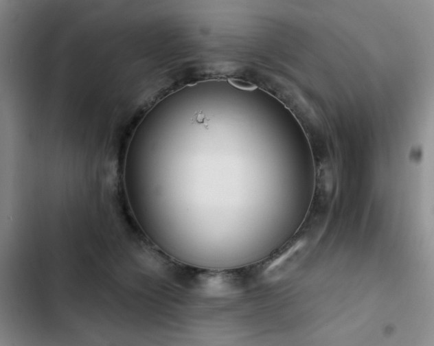 X0000103150564200808221334