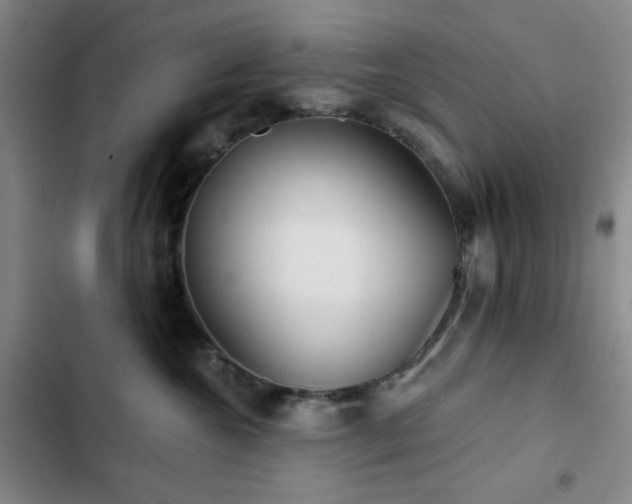 X0000103150572200808221334