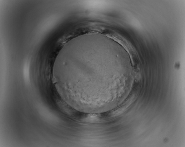 X0000103150573200808221334