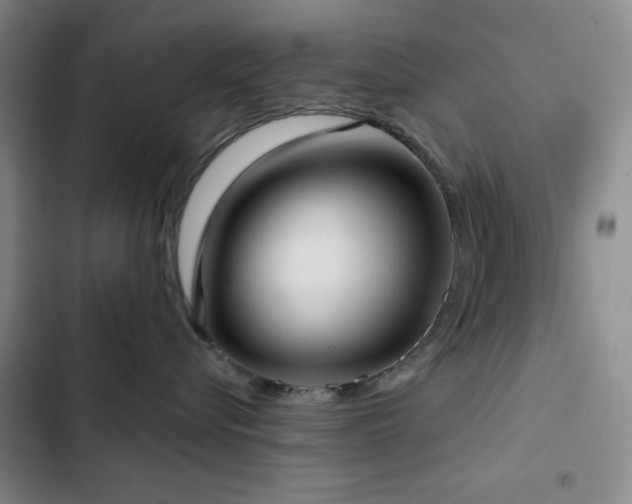 X0000103150576200808221334