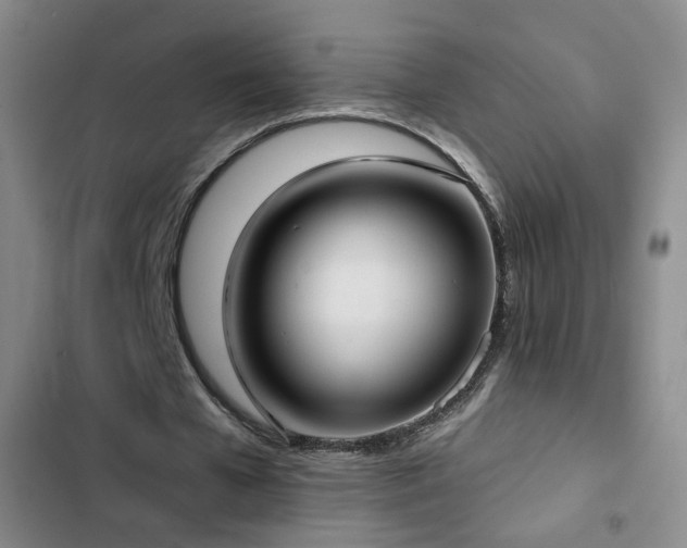 X0000103150577200808221333