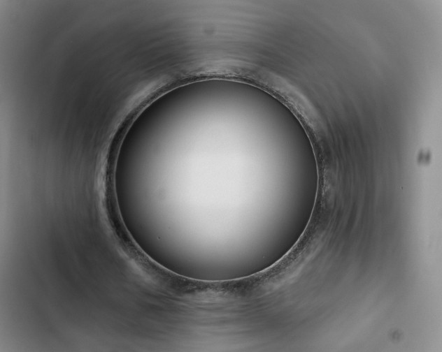 X0000103150578200808221333