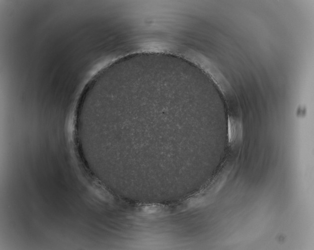 X0000103150579200808221333