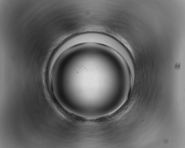 X0000103150581200808221333