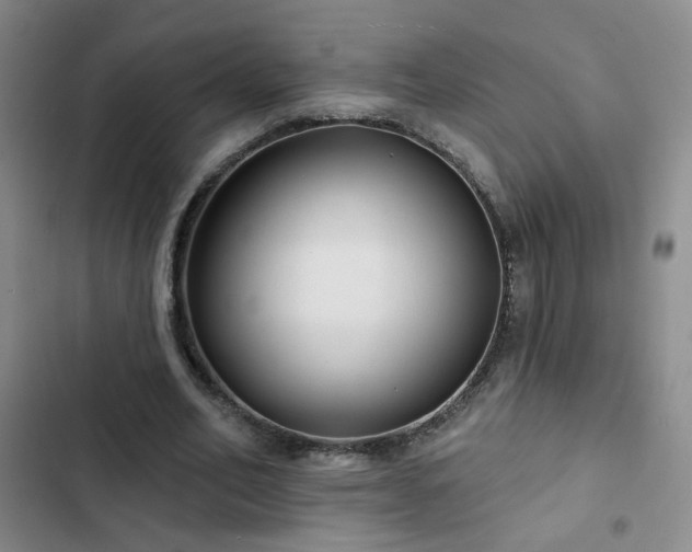 X0000103150582200808221333