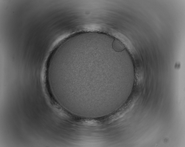 X0000103150583200808221333