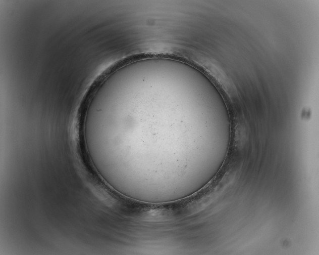 X0000103150584200808221333