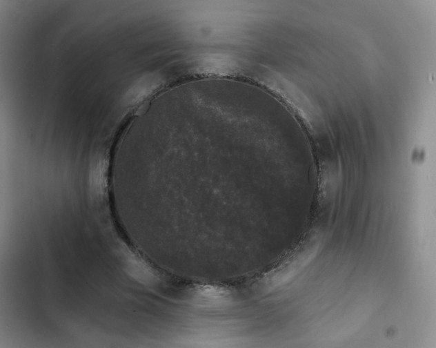 X0000103150585200808221333